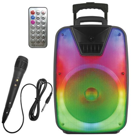 12IN RGB PNL TWS DJ SPKR