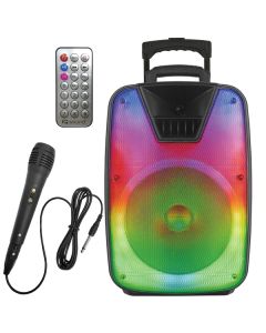 12IN RGB PNL TWS DJ SPKR